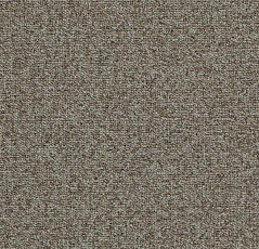 Ковровая плитка Tessera Basis 379 Suede фото 1 | FLOORDEALER